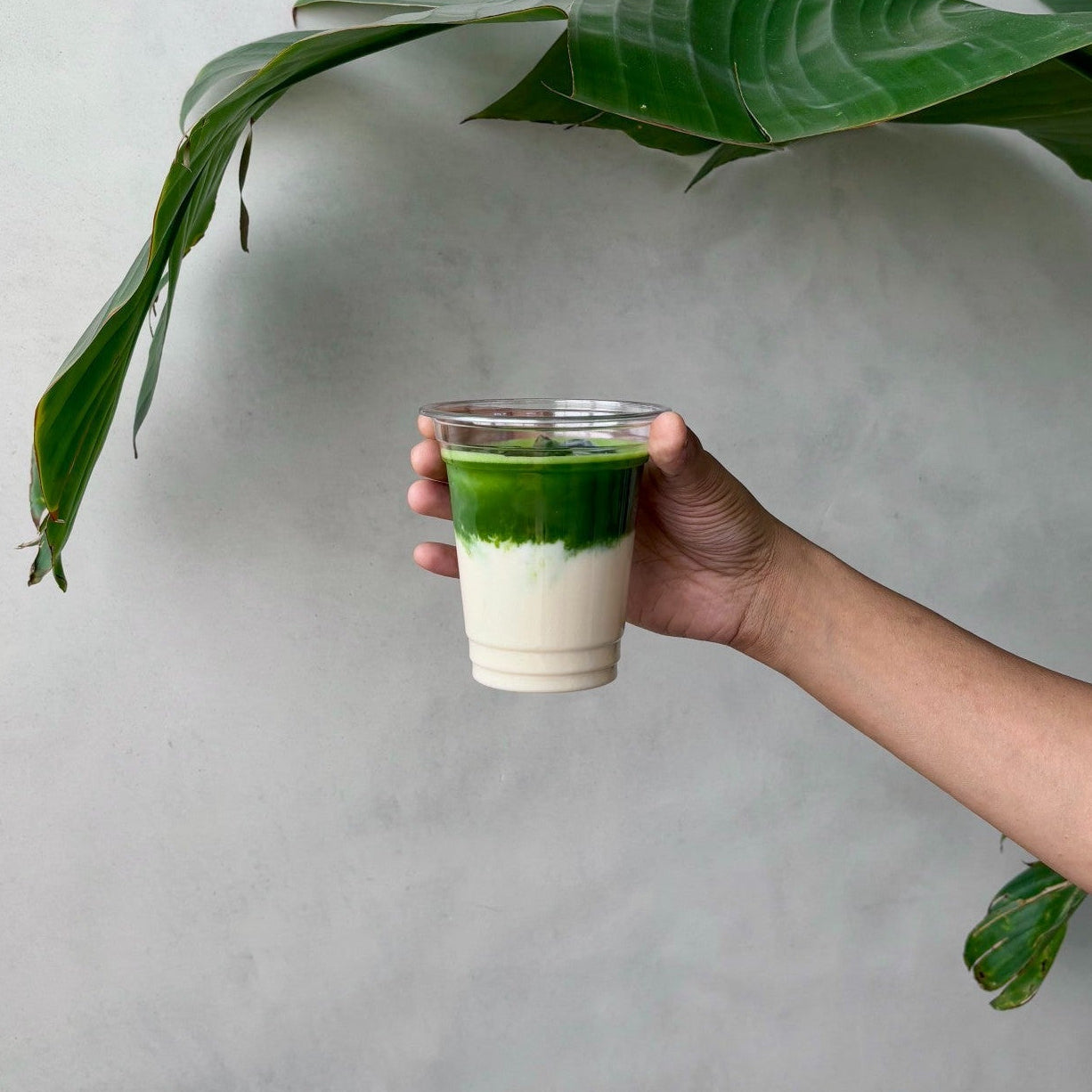 Hand holding a glass of iced matcha latte against a light gray background with leaves.