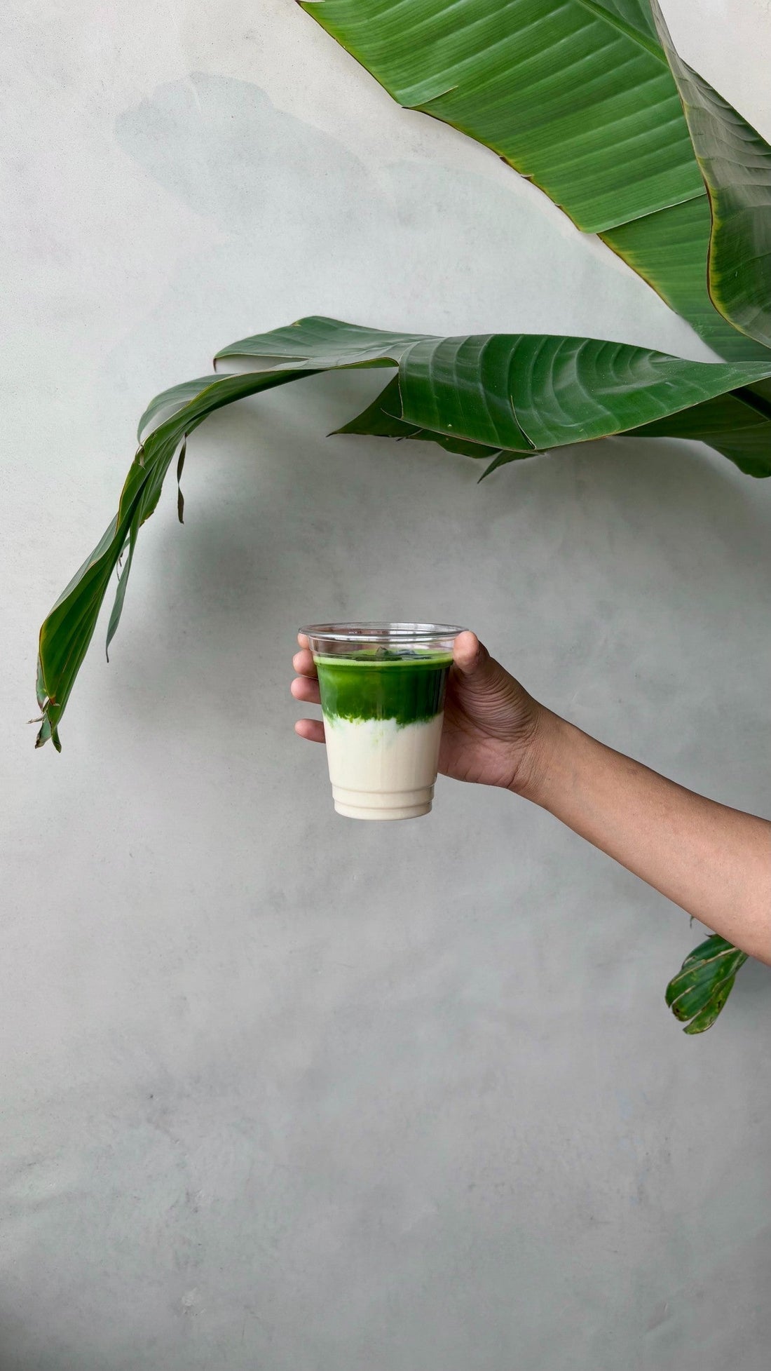 Iced Matcha Latte
