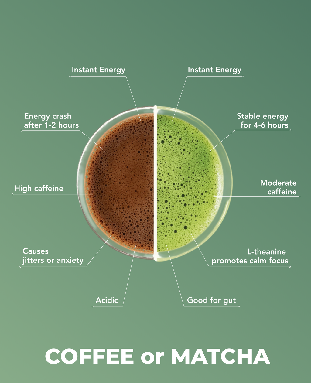 Yuki Matcha - Limited Edition | 25g