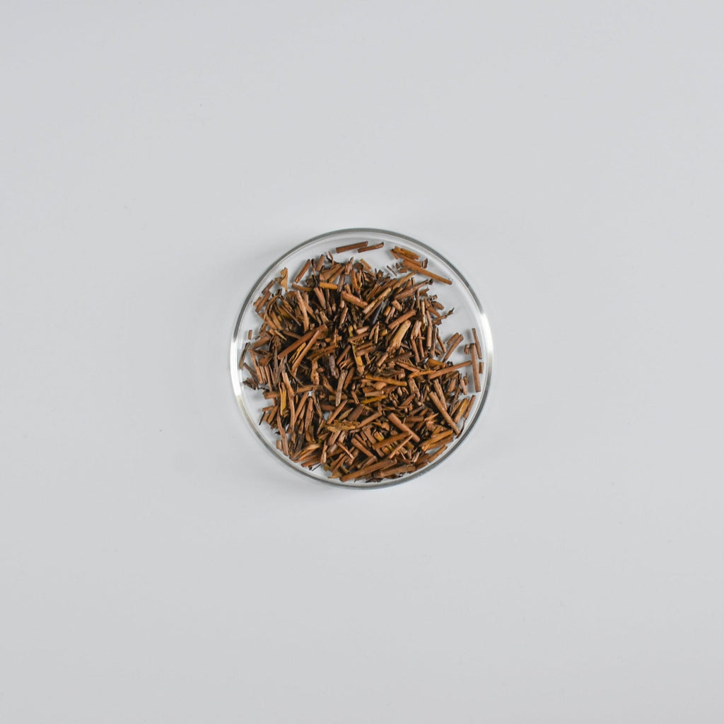 Small glass petri dish filled with brown roasted hojicha Japanese green tea on a white background