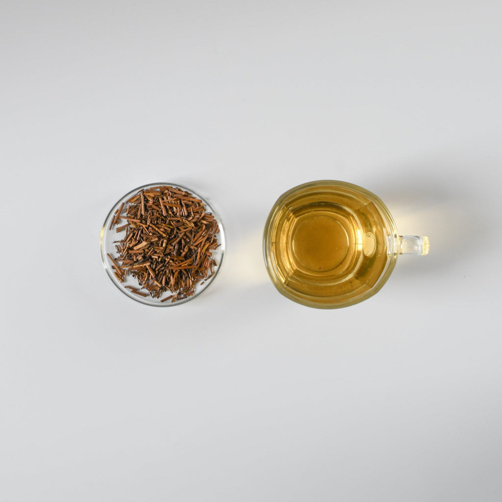 Tea cup with brewed Japanese hojicha tea and loose hojicha roasted green tea leaves on a white background